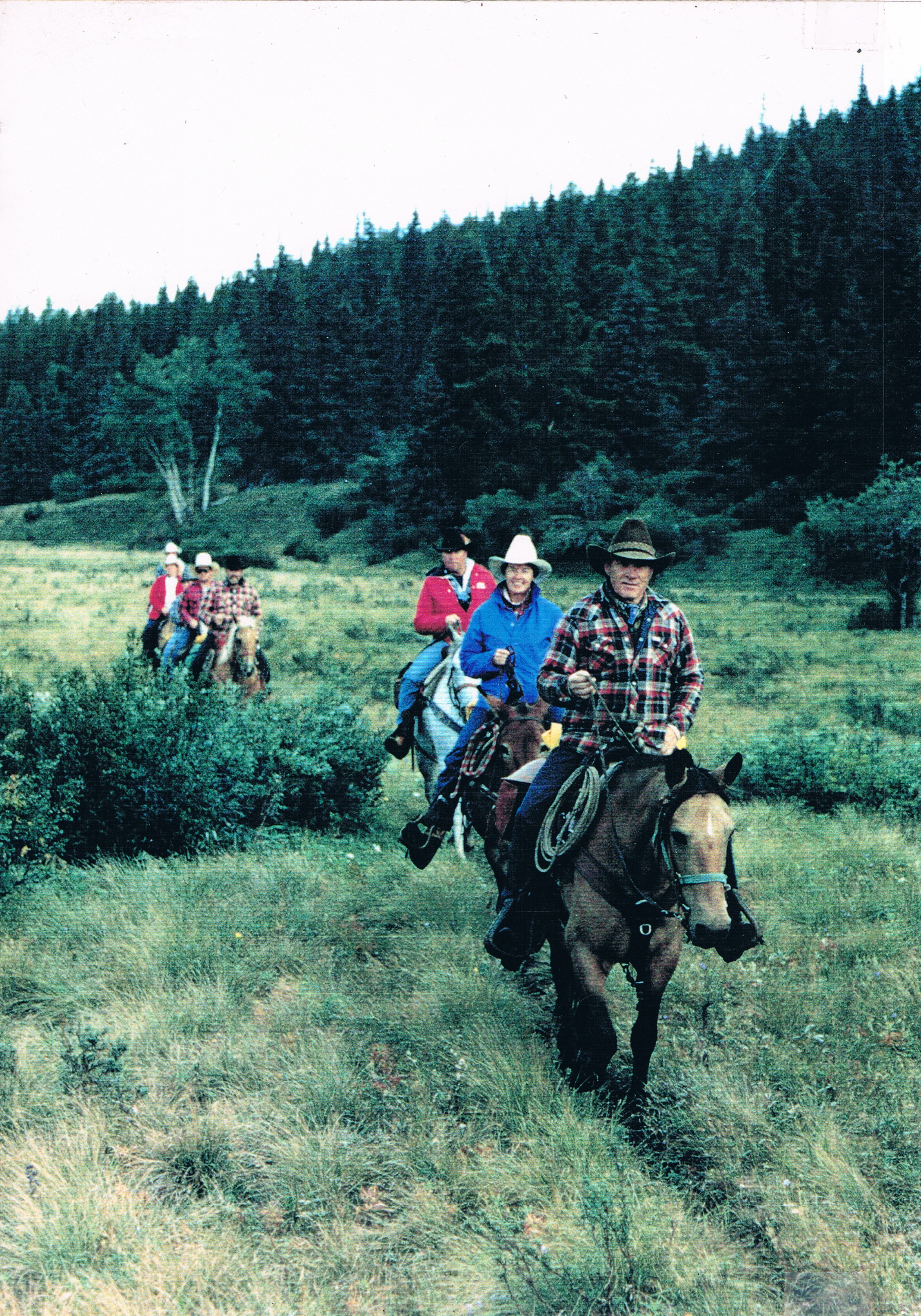 Group trail ride through the Alberta foothills — Barrier Mountain Outfitters